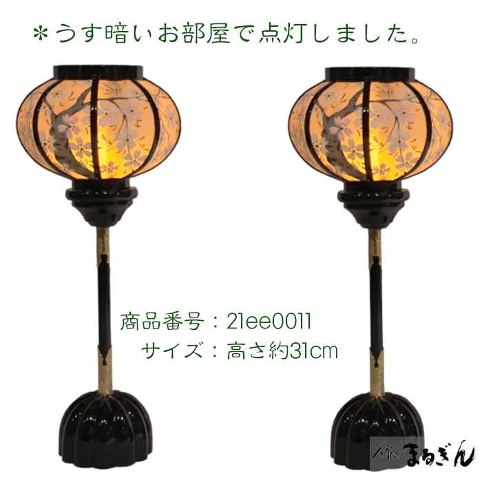 21ee0011_lightup