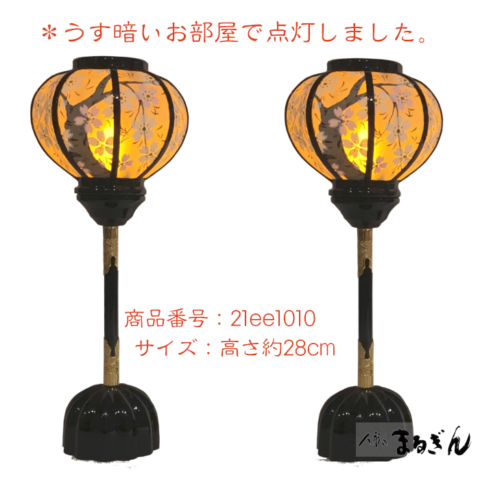 21ee1010_light