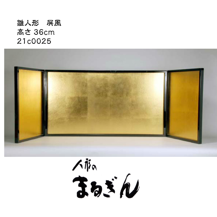21c0025_12gt